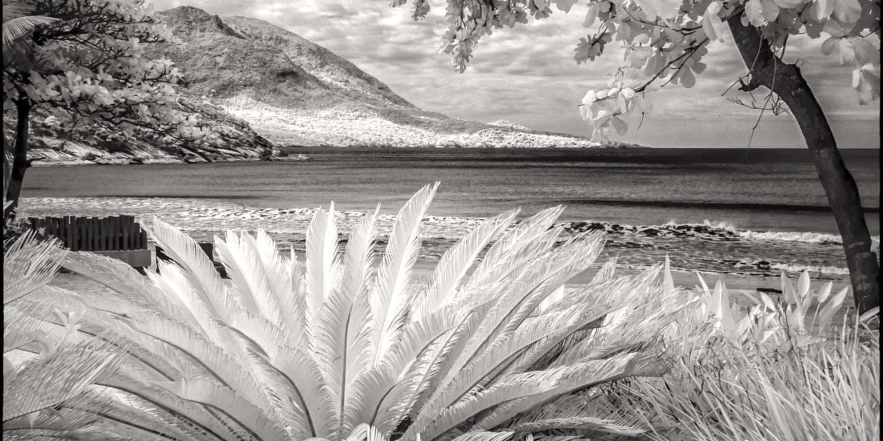 Maude Kerns Art Center: When the photography is infrared, the images take on surreal and magical qualities
