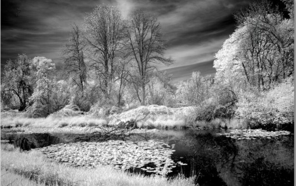 Infrared photographs by Linda Devenow on display at O’Brien Imaging