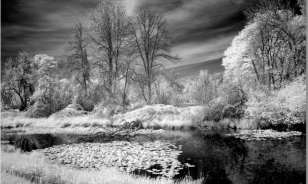 Infrared photographs by Linda Devenow on display at O’Brien Imaging
